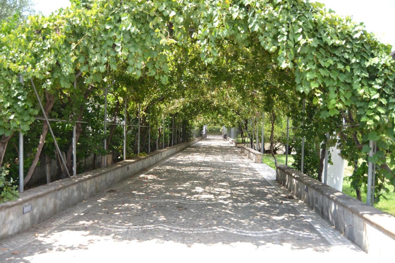 I giardini del Vesuvio Villa Somma Vesuviana Esterno foto