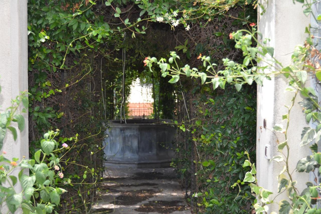 I giardini del Vesuvio Villa Somma Vesuviana Esterno foto